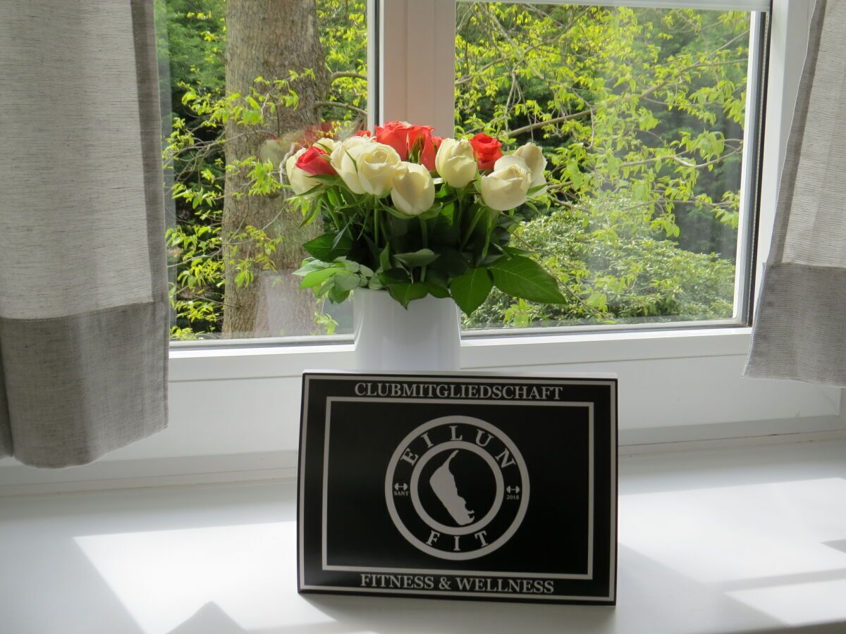 A window with a potted plant of red and white roses and a black sign with white text reading "CLUBMITGLIEDSCHAFT FITNESS & WELLNESS".