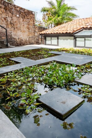 Property grounds - Direct lakefront total home in Teques, spa, gym, karaoke, games room, staff (Tequesquitengo)