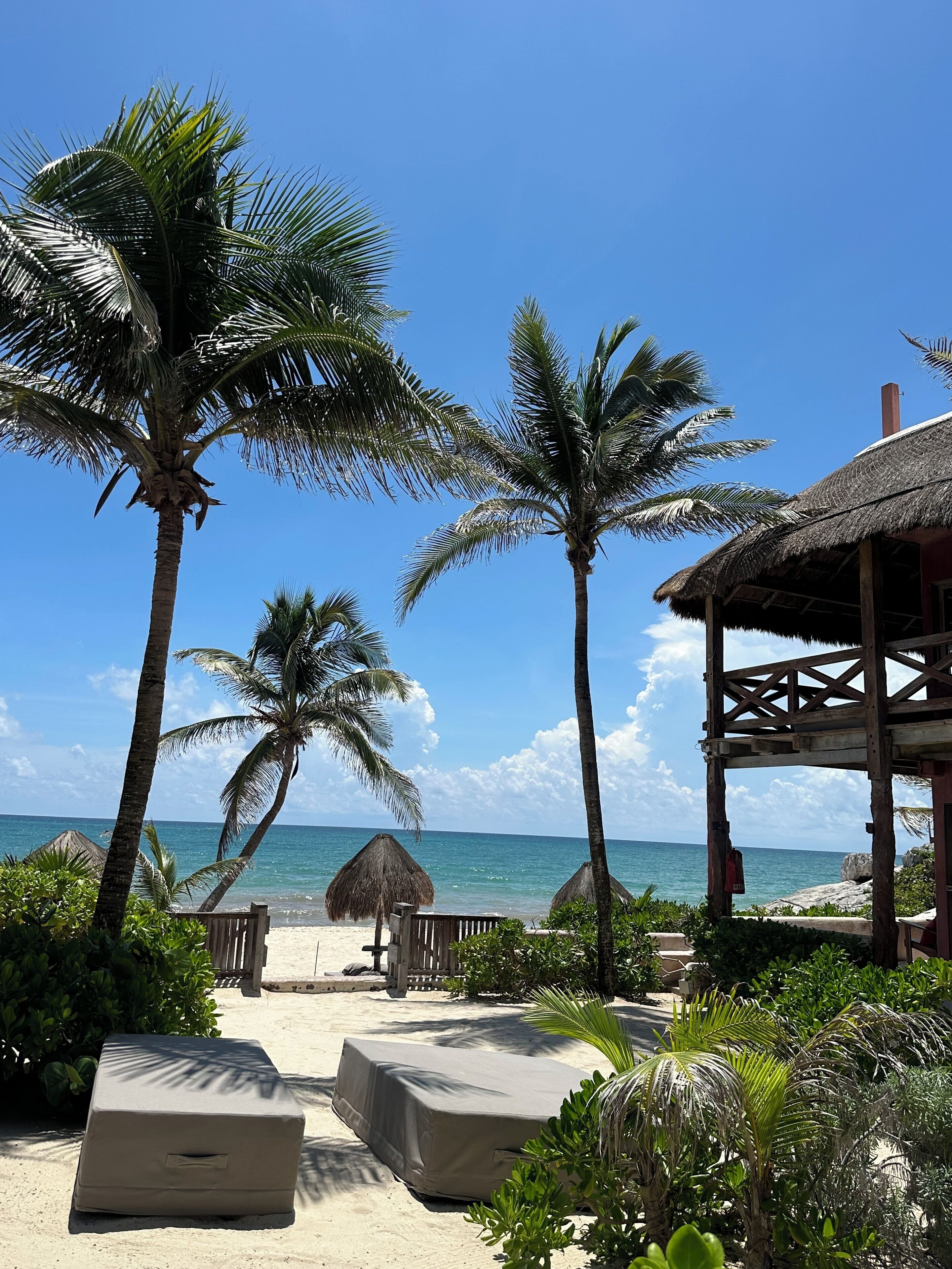 Foto - La Conchita Tulum