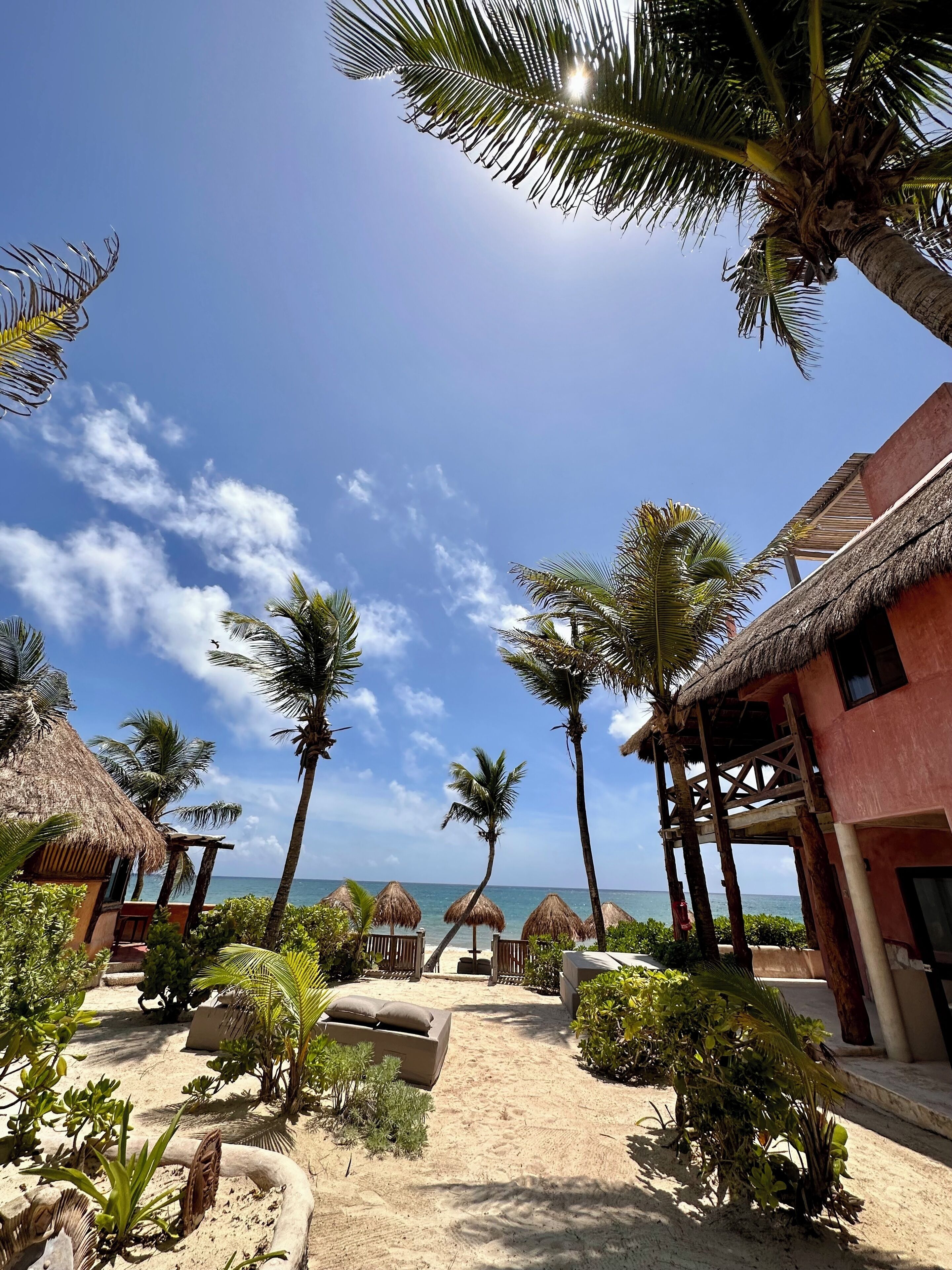 A beach resort with thatched-roof huts, palm trees, and a sandy walkway leading to the ocean.