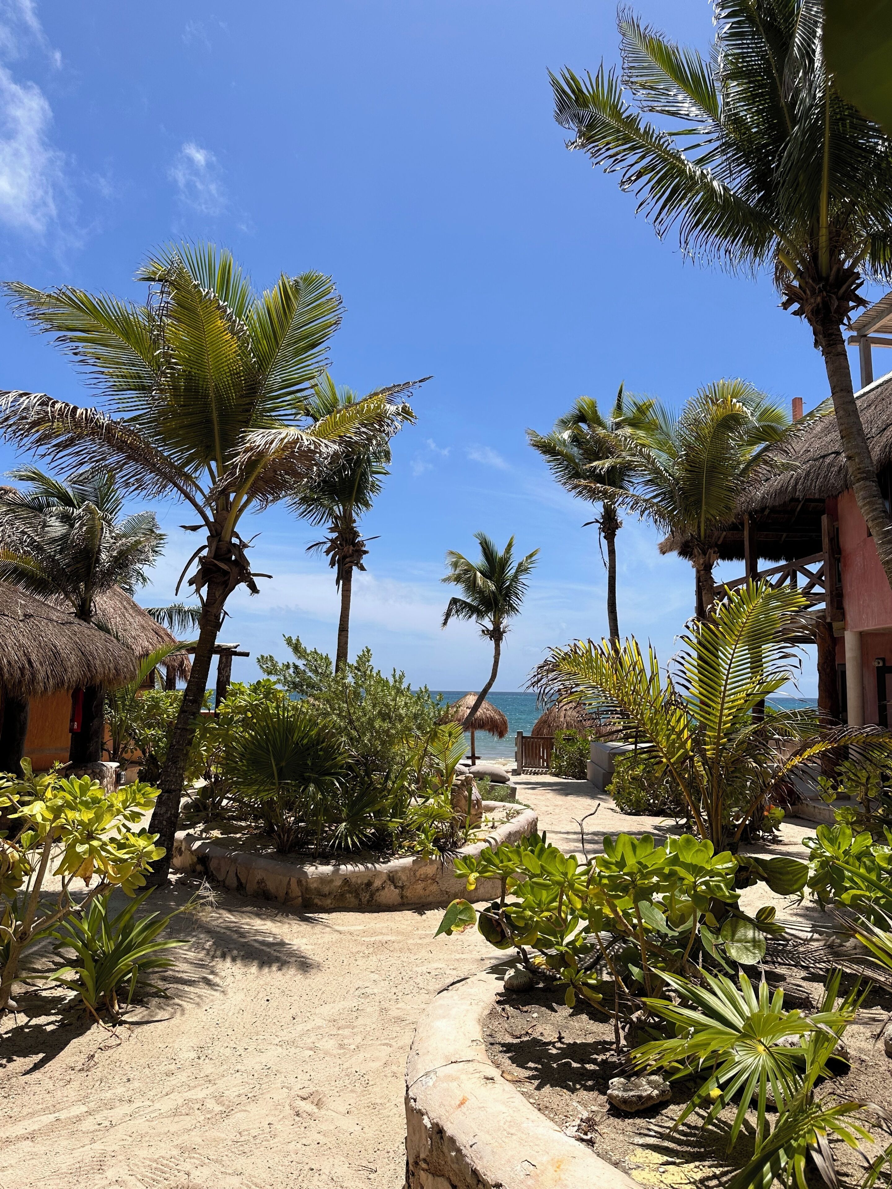 Photo - La conchita Tulum
