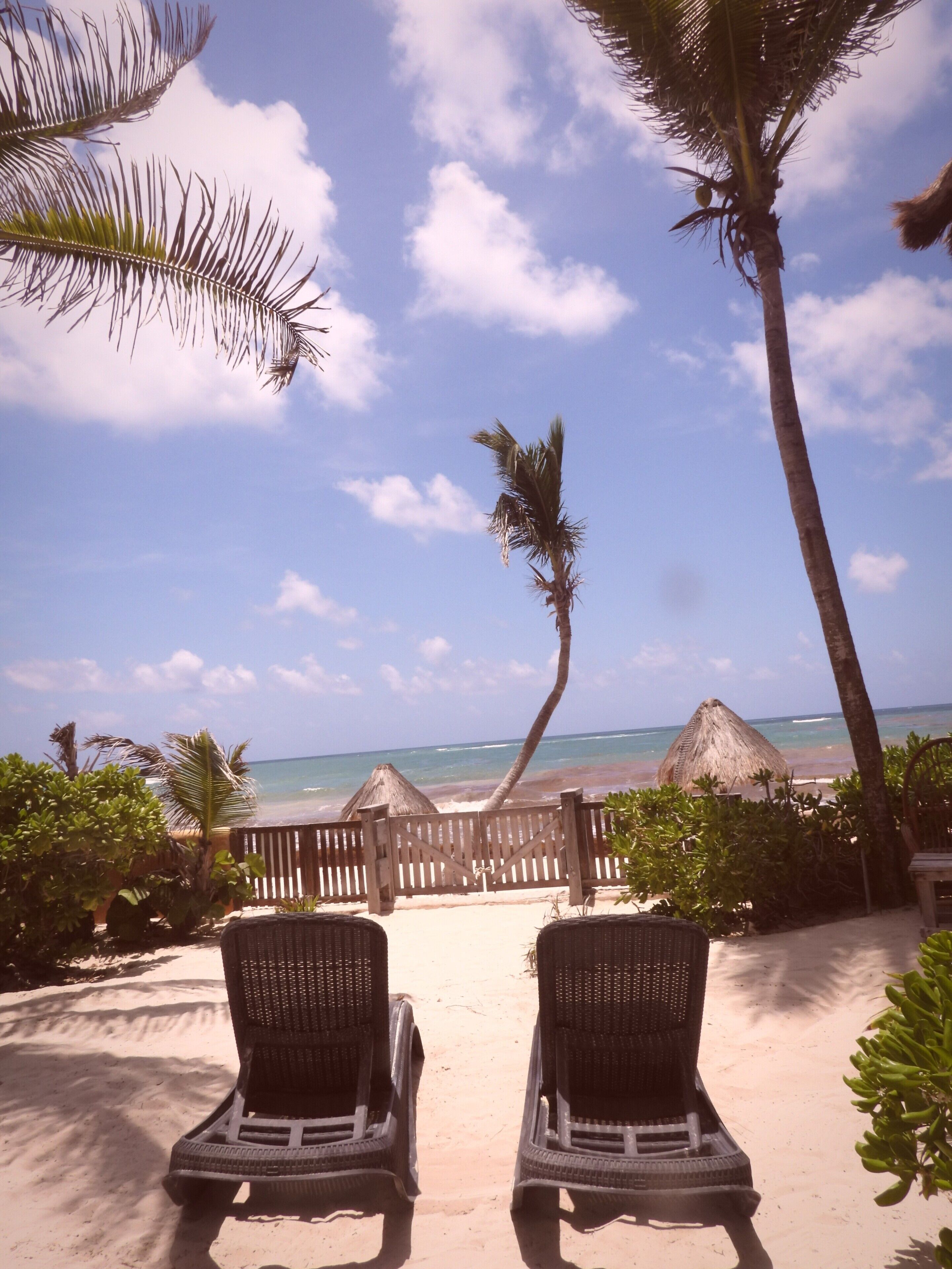 A beach view with two lounge chairs facing the ocean, palm trees, and a wooden fence.