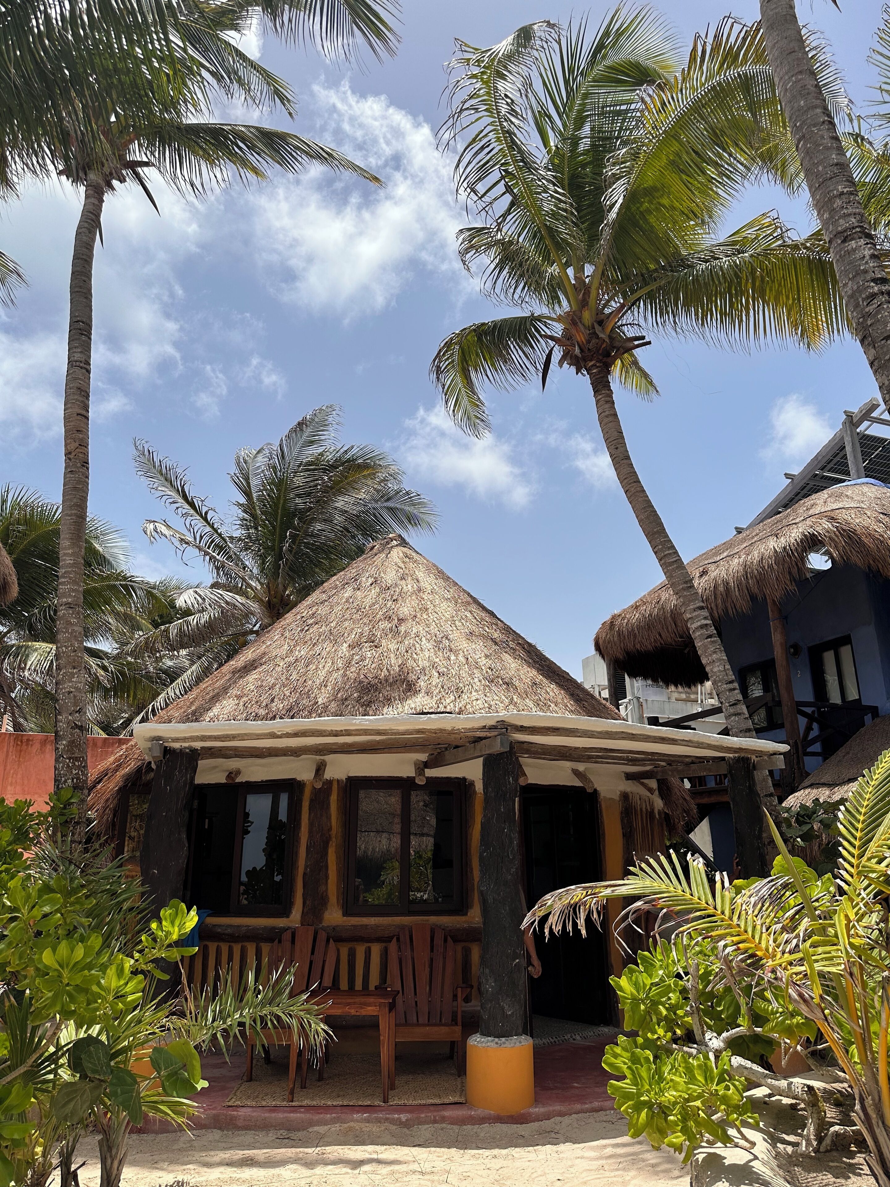 A thatched-roof hut with a wooden bench and a small table, surrounded by palm trees and other tropical plants.