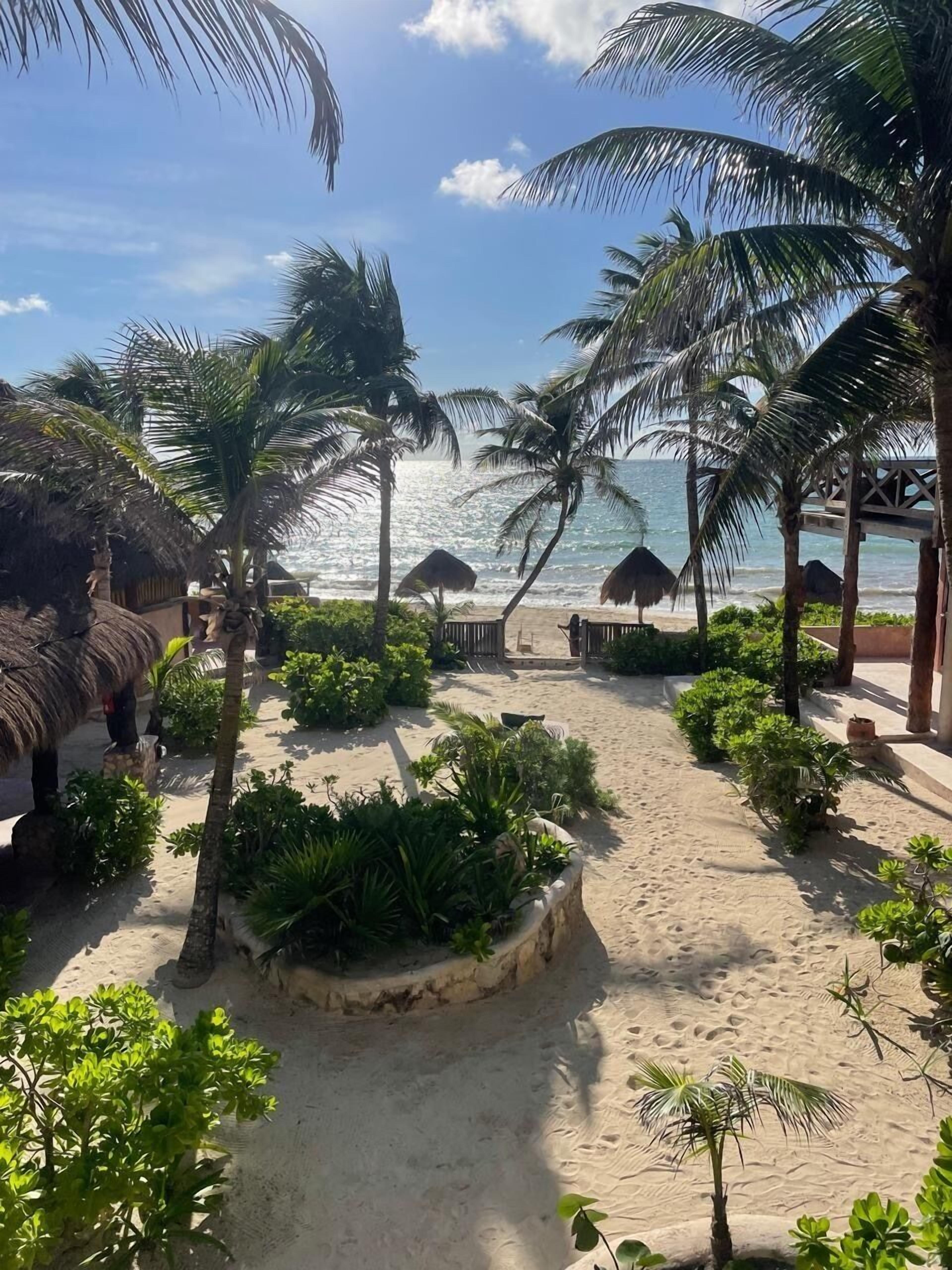 A beach pathway lined with palm trees and thatched-roof structures, leading to the ocean.