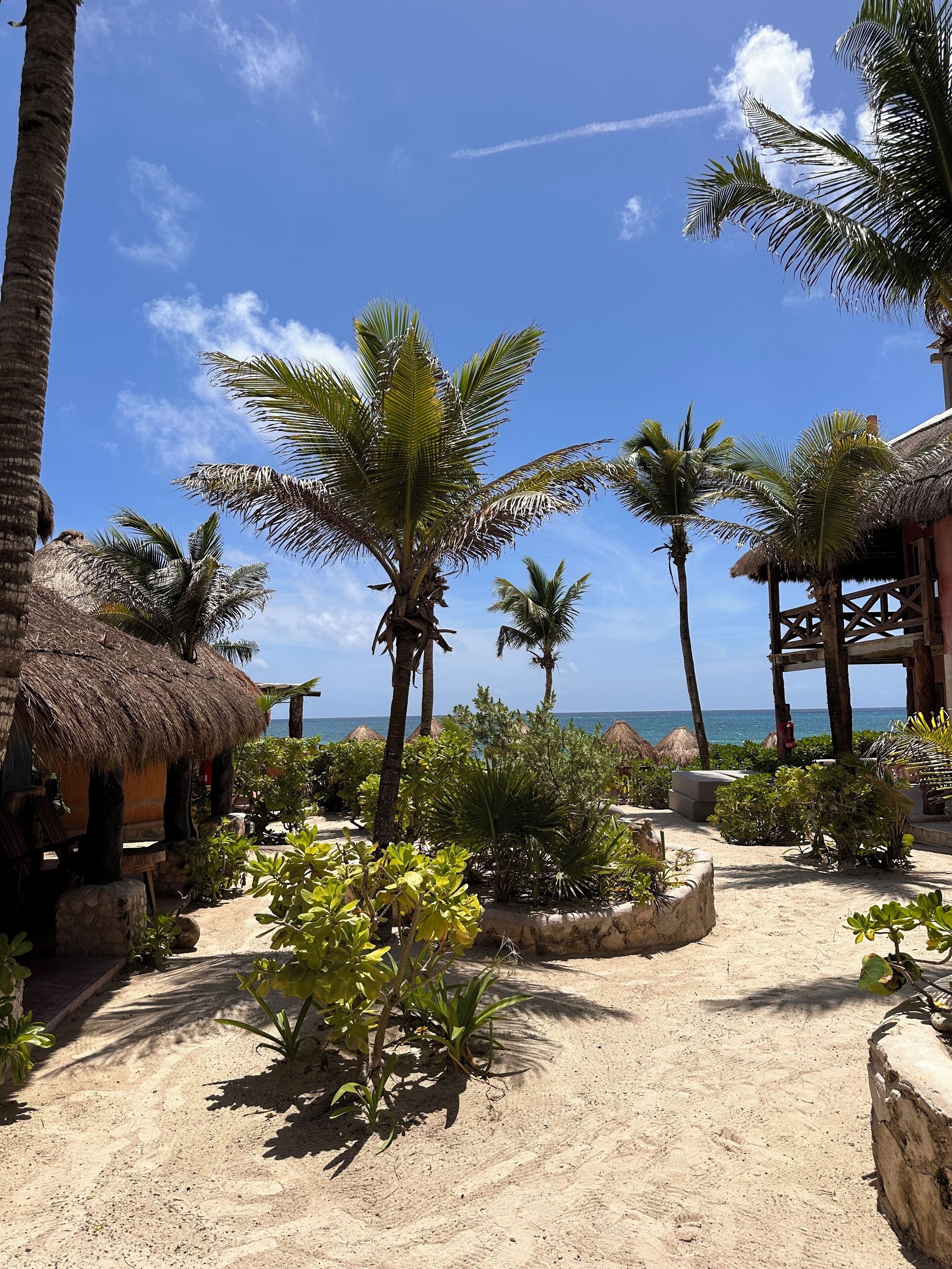 在海滩、免费海滩小屋、海滩遮阳伞、沙滩毛巾