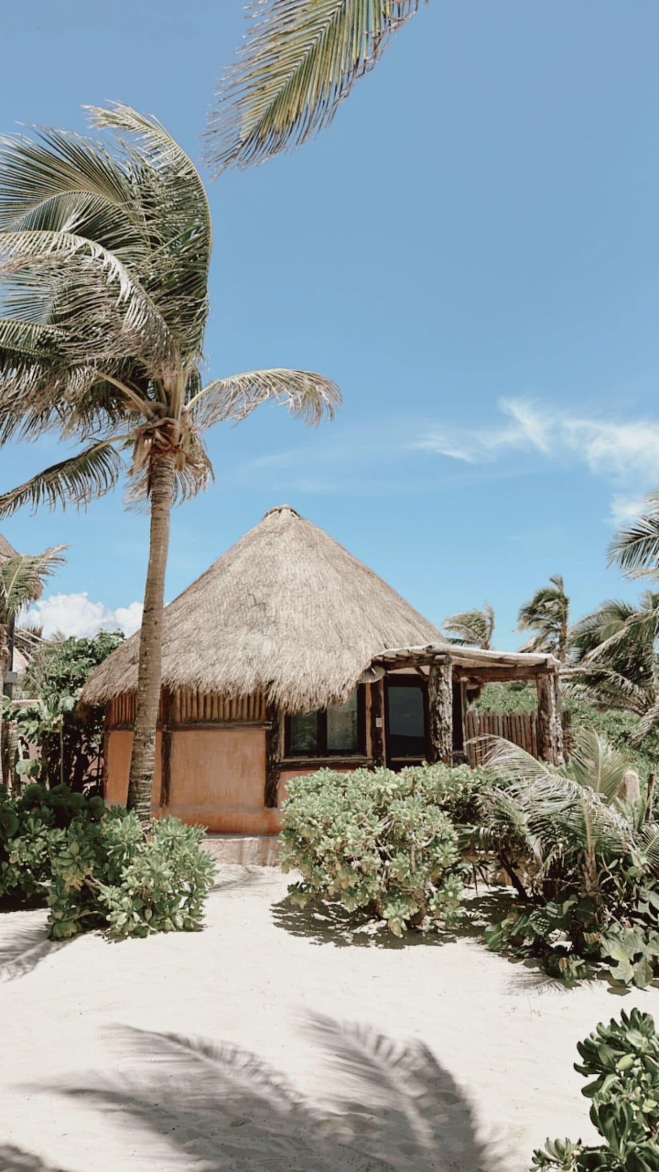 Foto - La Conchita Tulum
