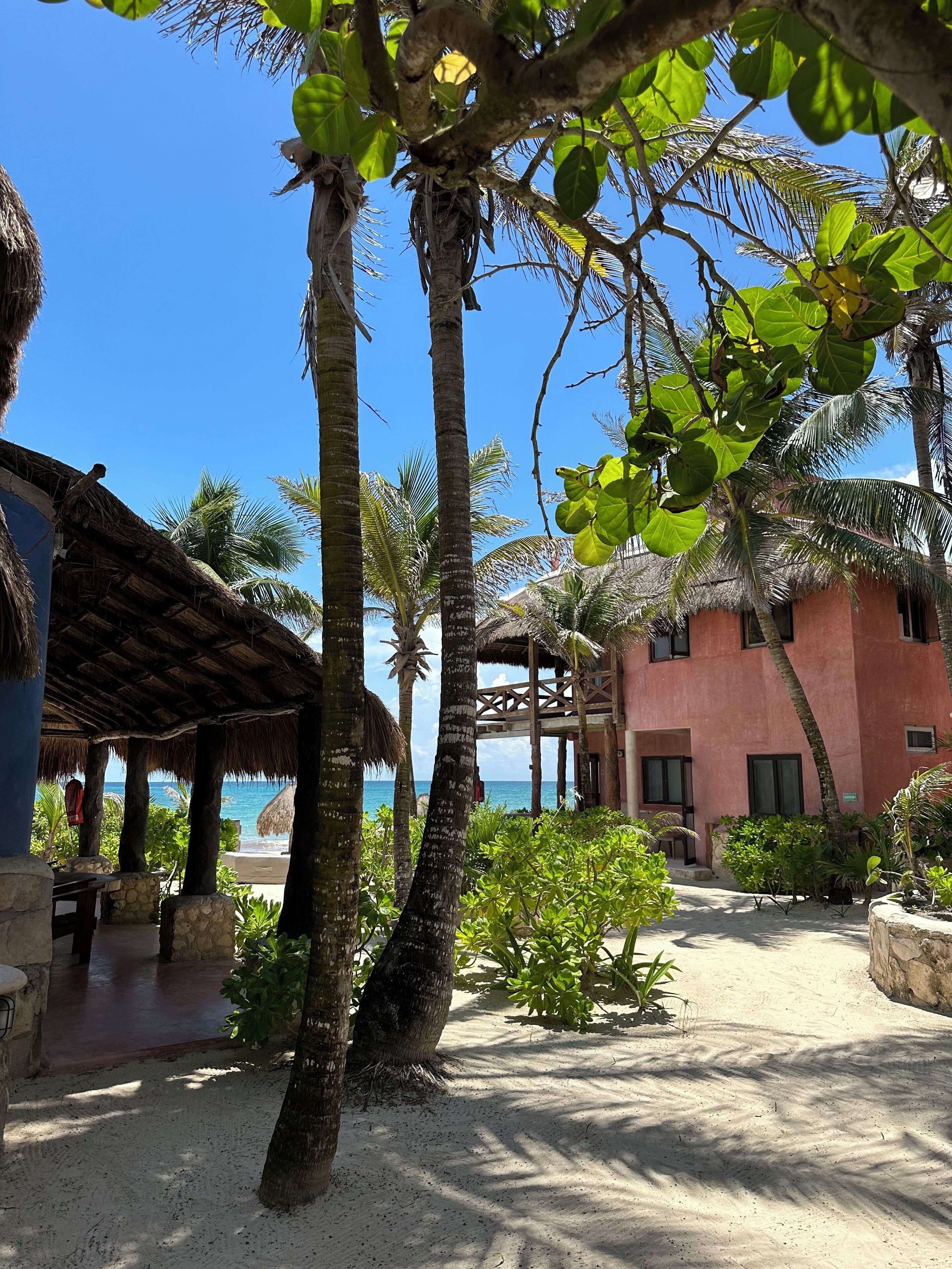 A beachside resort with thatched-roof structures, palm trees, and a view of the ocean.
