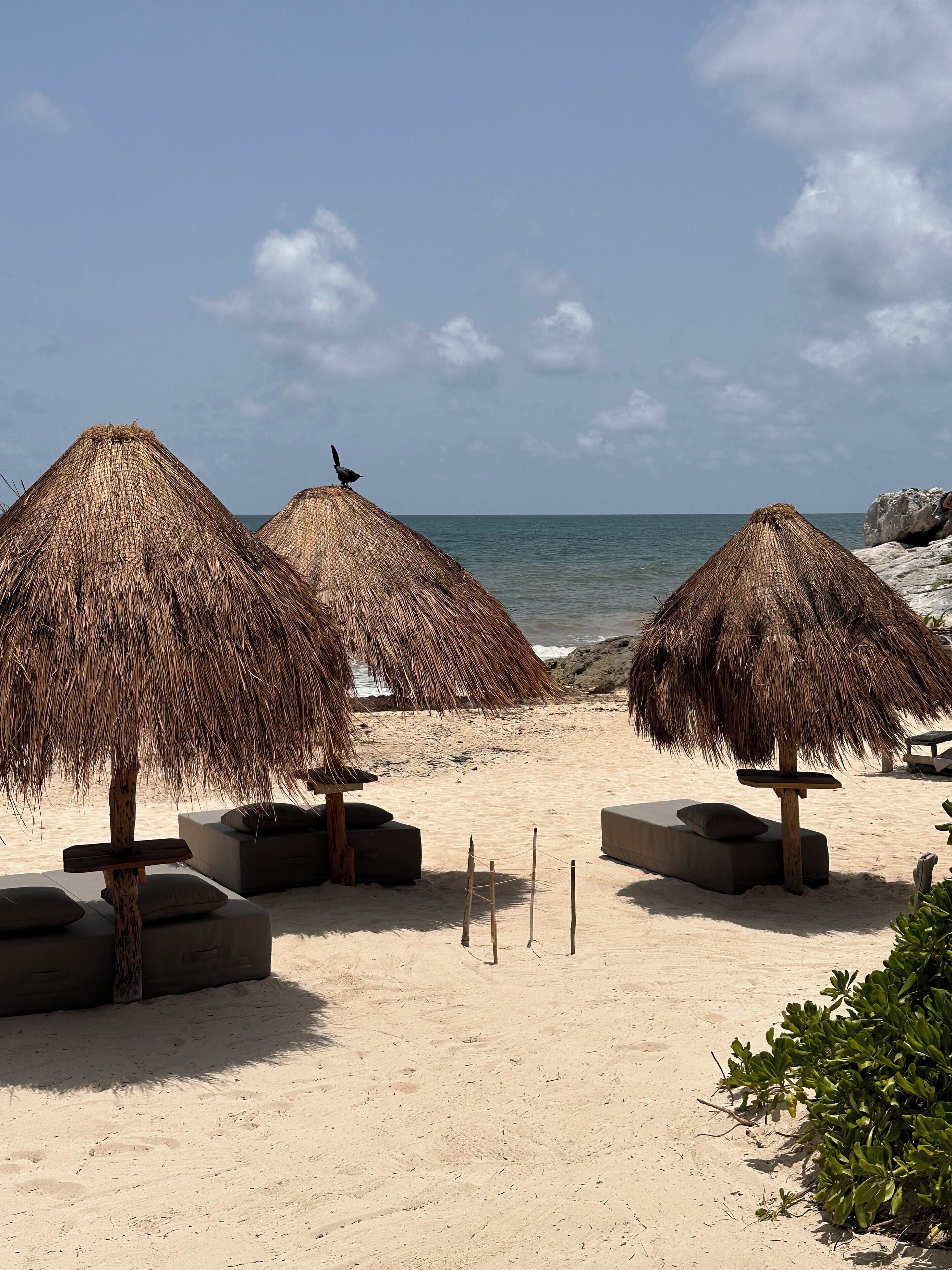 A beach with thatched umbrellas and cushioned seating areas.
