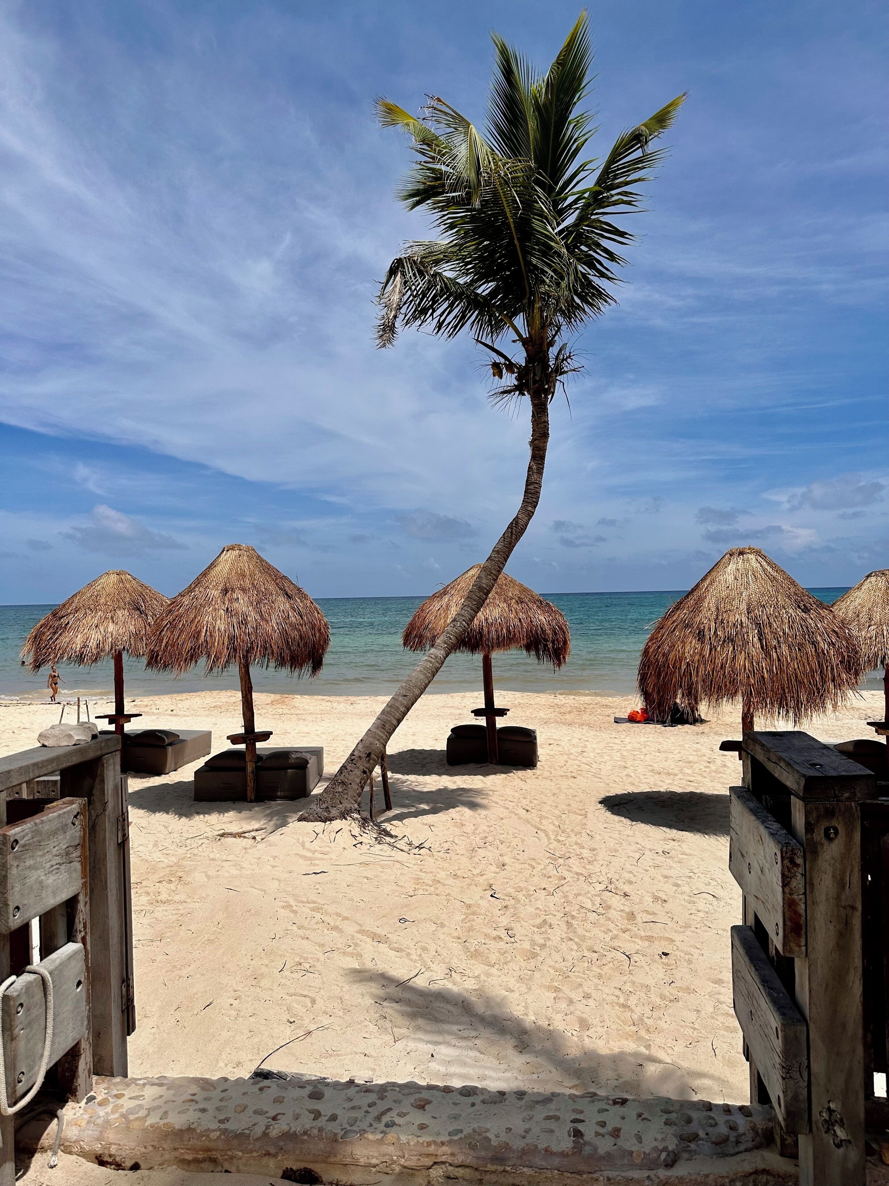 A beach with thatched umbrellas and a palm tree.