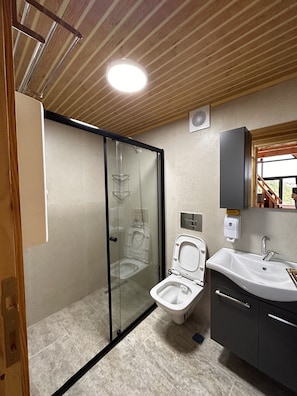 A modern bathroom with a glass-enclosed shower, a white toilet, and a sink with a mirror above it.