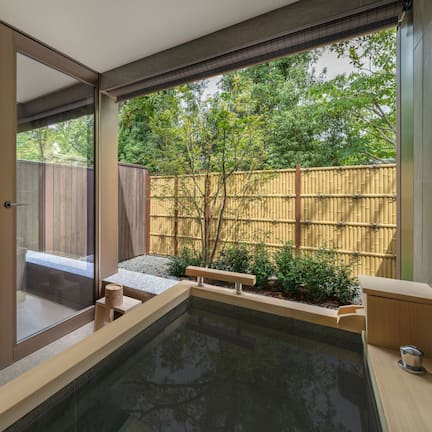 Deluxe Room, 1 King Bed, Garden View | View from room