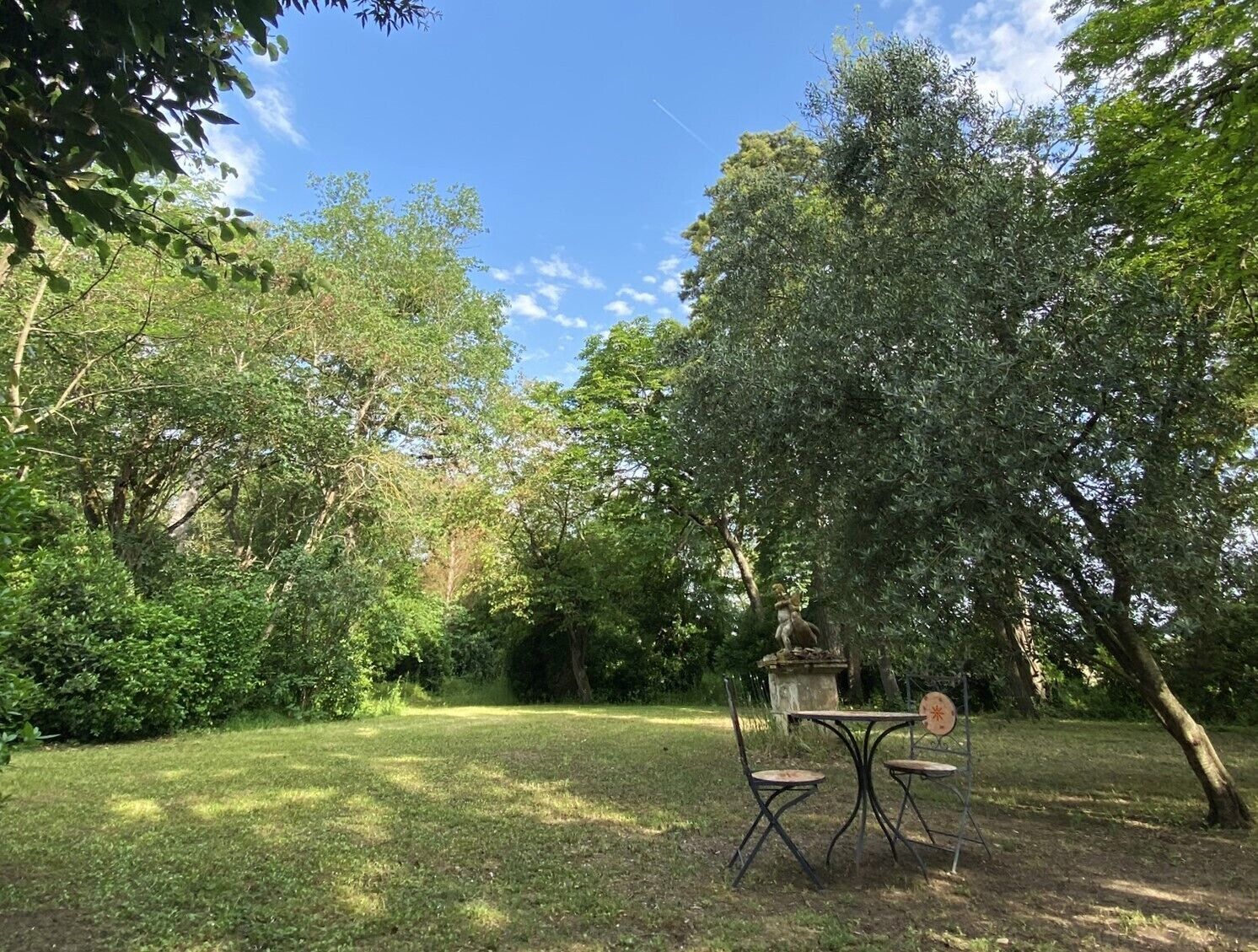 Ein Garten mit Tisch und Stühlen, umgeben von Bäumen und Grün.