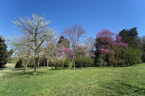 Un parque con varios árboles, algunos con flores rosadas, y un cielo azul despejado.