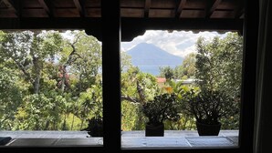 A view from a covered balcony with potted plants, overlooking a lush garden and a mountain.