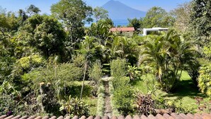 A lush garden with various tropical plants and a view of a mountain in the background.