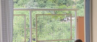 Homonatura. Sense of Native Living