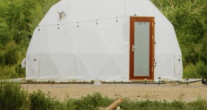 Capital Reef Dome | Juniper
