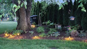 A garden with a large tree, a birdhouse, and a trash bin. -  Songbird Haven, 3 min from town, Pumpkinvine, MEC,concerts. 3 bedroom, 2 bath.  (Shipshewana)
