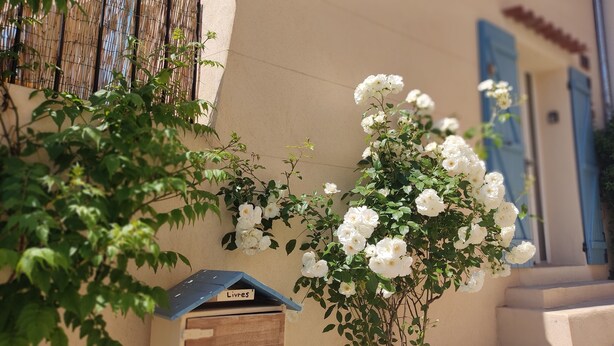 Ein Gebäude mit einer beigen Fassade, einer Holztür mit einem Schild und weißen Blumen, die an der Wand wachsen.