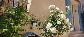 Petite Pause à Pourrières