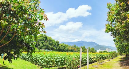 Beautiful Family House in the heart of Esquipulas.