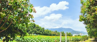 Beautiful Family House in the heart of Esquipulas.