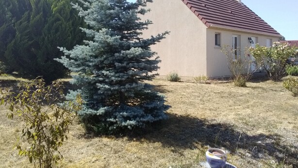 Una casa con techo rojo y paredes color beige, rodeada de pasto seco y un gran árbol de hoja perenne.