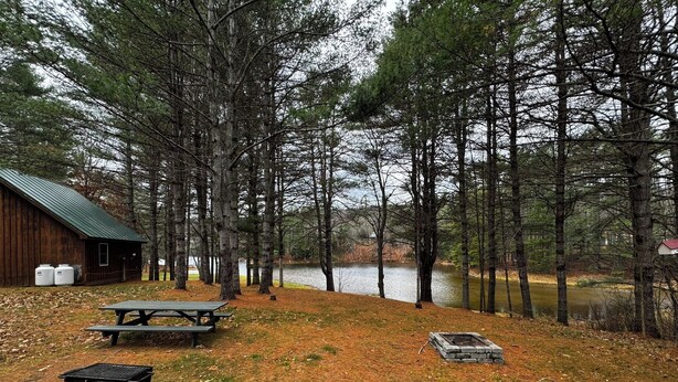 A rustic cabin with a picnic table and grill, surrounded by tall trees and a lake.