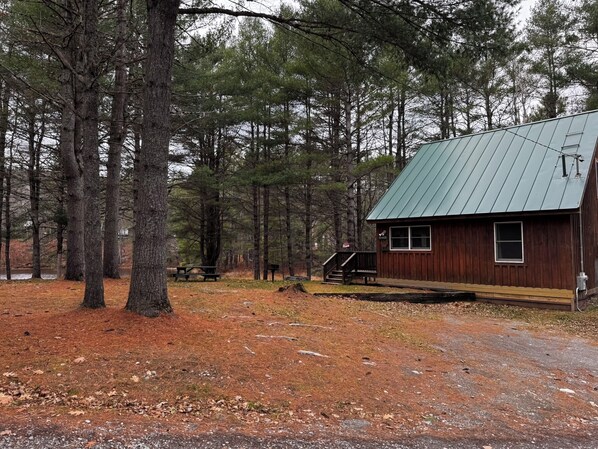 Une cabane avec un toit en métal, entourée de grands arbres et une table de pique-nique au premier plan.