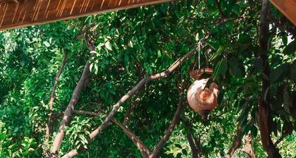 La Sorella Butik Hotel