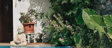 Alberca al aire libre por temporada y sombrillas en la alberca