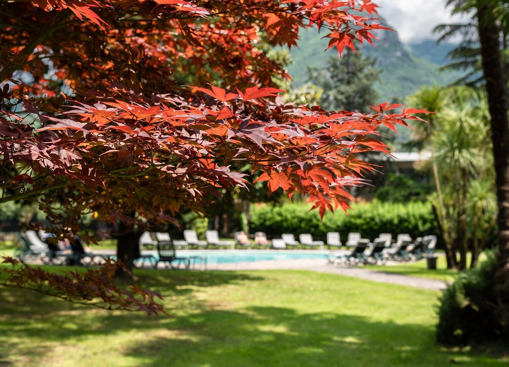 حمّام سباحة خارجي موسمي