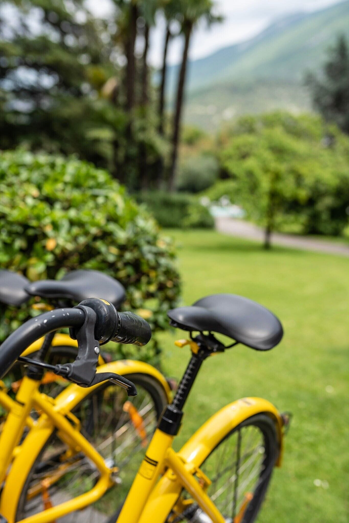 A yellow bicycle parked in a lush green park with a clear view of the surrounding greenery and distant mountains.