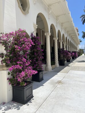 Ein Gebäude mit einer Reihe von Bögen und Säulen, Kübelpflanzen mit violetten Blüten und blauem Himmel.