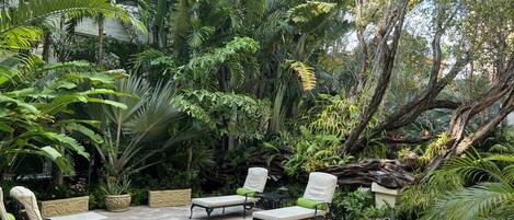 Un patio con cuatro sillones de descanso y una pequeña mesa, rodeado de exuberante vegetación tropical y árboles.
