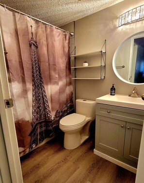 Hair dryer, towels, soap, shampoo