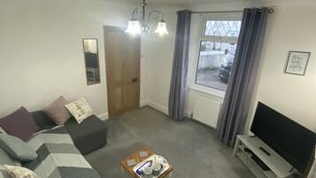 Smart TV, fireplace, DVD player, books