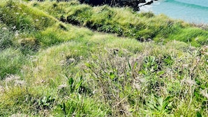 Paisaje costero con terreno cubierto de hierba y vista al mar.