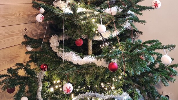 Un árbol de Navidad con luces y adornos, frente a una pared de madera.