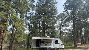 A white RV parked in a forest with tall pine trees. - Tree Top Ranch Glamping  (Larkspur)