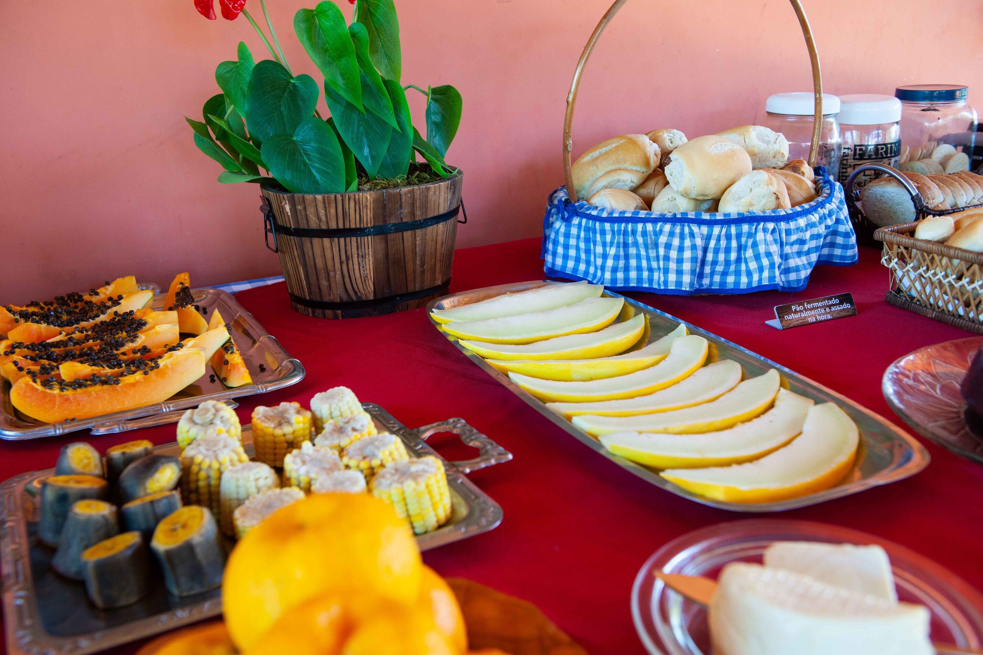 Foto - Sitio Toca do Leao