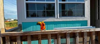 Funny Farm Tiny Cabin