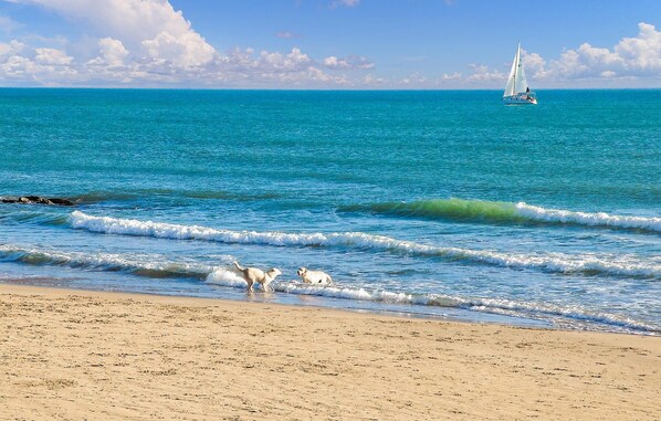 Fishing - Beautiful home in Noto (Noto)