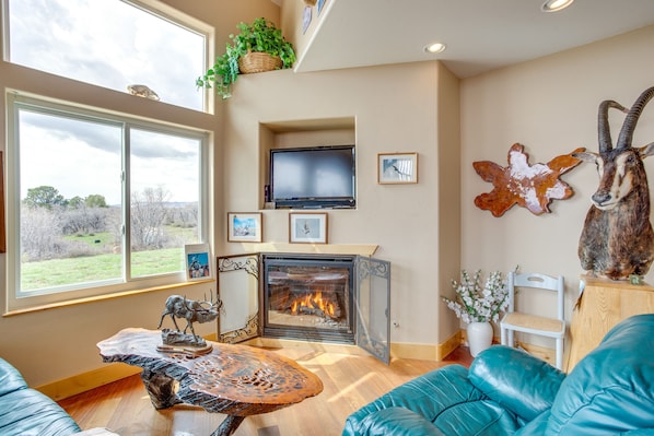 TV, fireplace, books