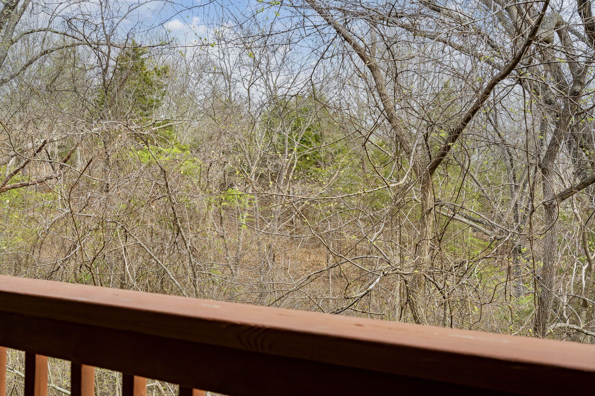 A view from a balcony with a railing, overlooking a dense forest with various trees and shrubs.