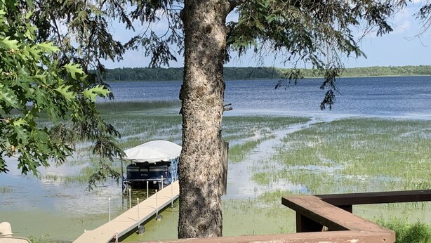 Un muelle que se adentra en un lago, con un bote cubierto por un toldo, rodeado de árboles y zonas verdes.