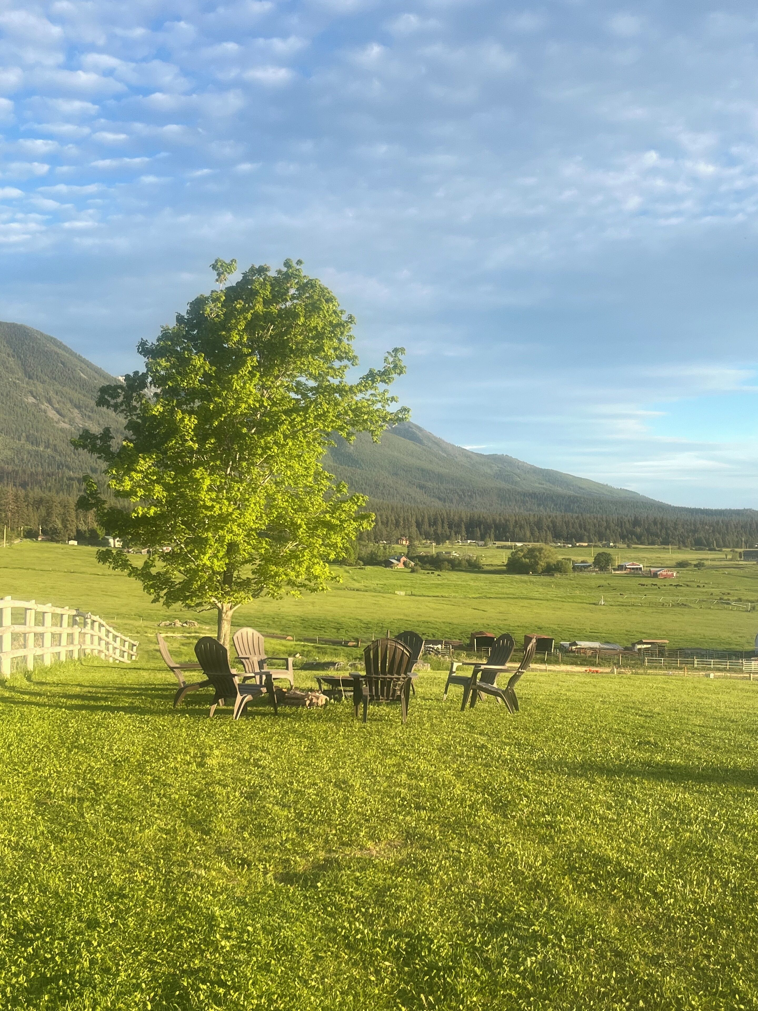 Enceinte de l’hébergement