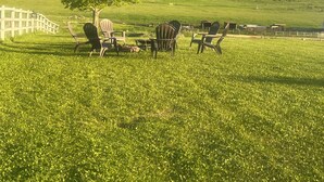 A grassy field with a tree and Adirondack chairs. - Comfortable Montana Country Home for Family Getaways (Arlee)
