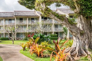 A hotel with multiple-story buildings, balconies, and a large tree in the foreground.