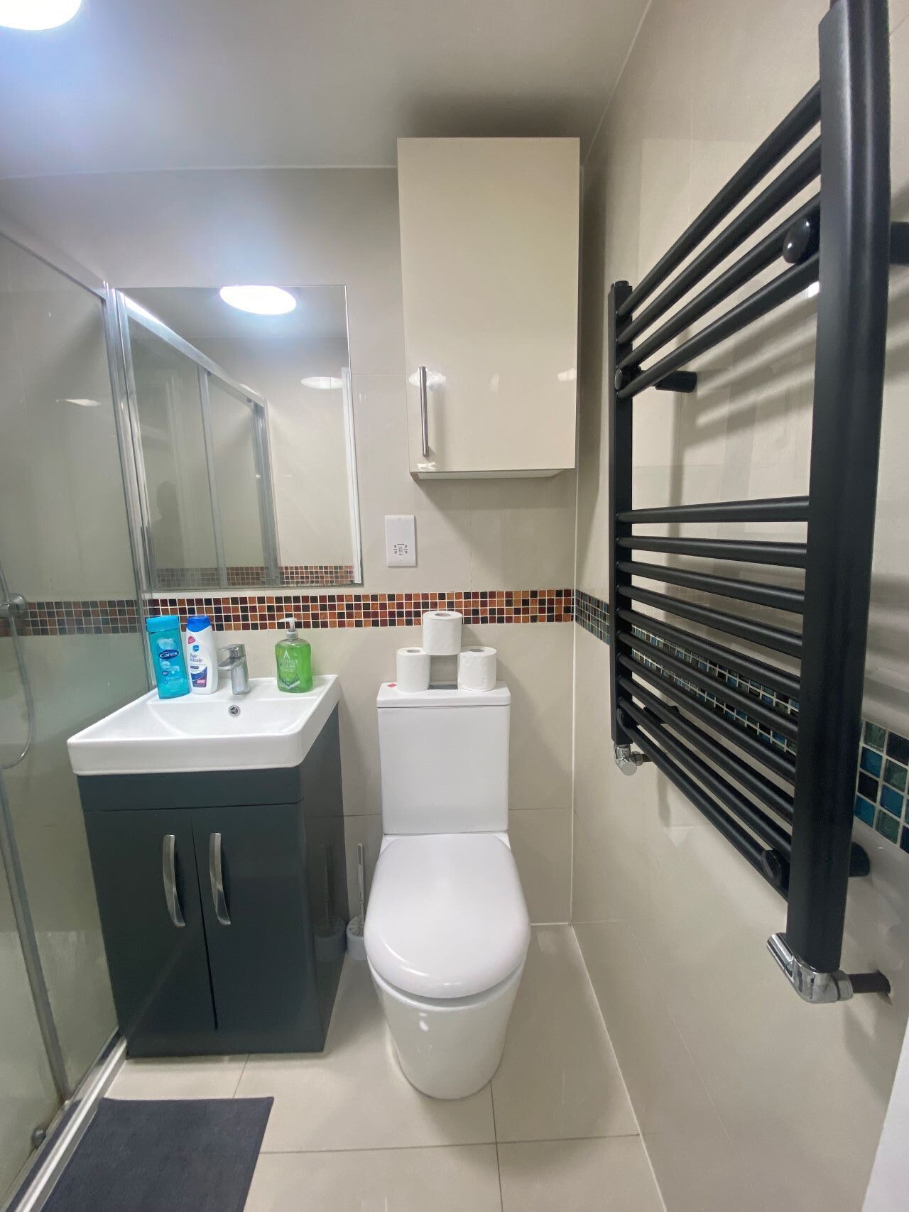 Shower, eco-friendly toiletries, hair dryer, towels